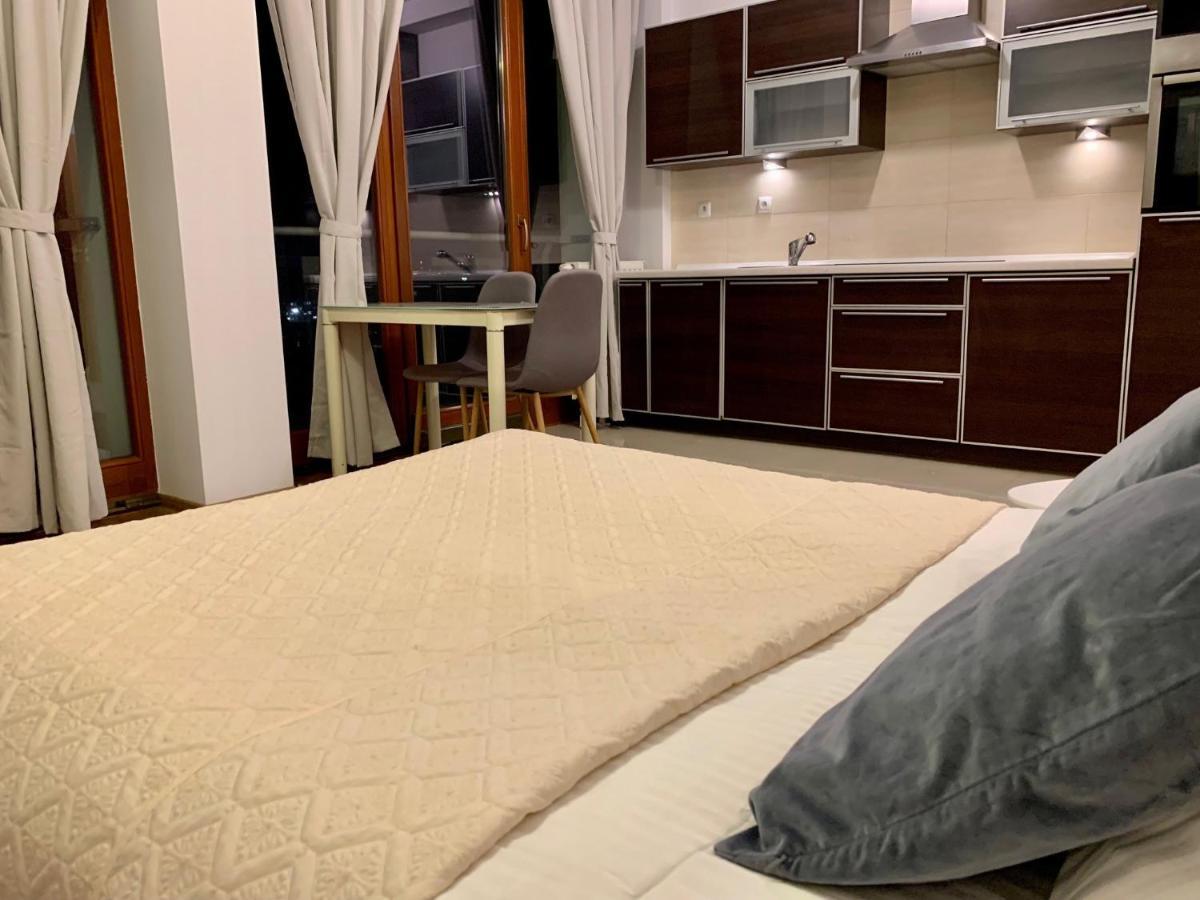 City View Wellness Apartment Swim&Steam&Relax Cracovie Extérieur photo