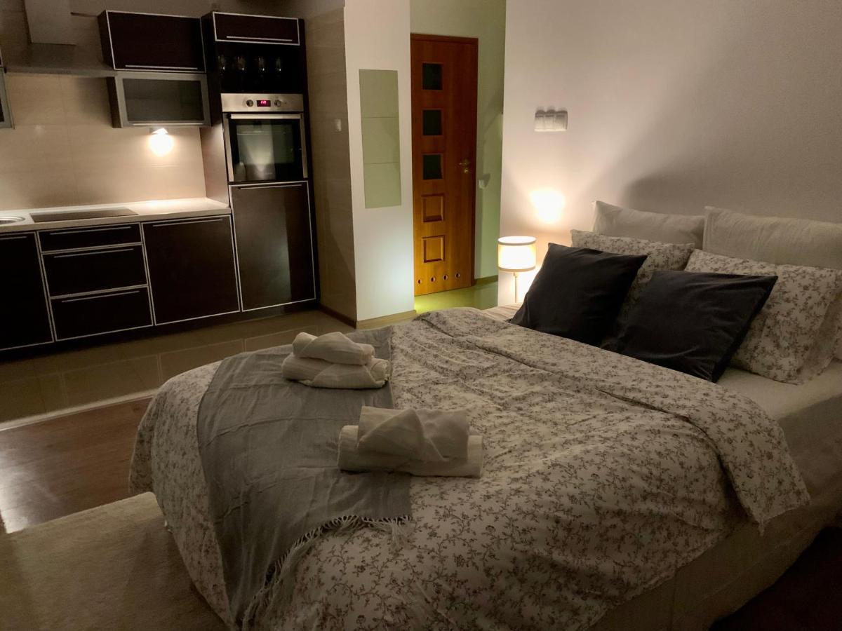 City View Wellness Apartment Swim&Steam&Relax Cracovie Extérieur photo